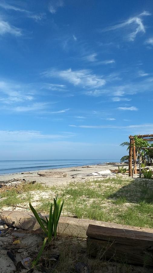 Urantia Beach Hostel & Camping San Onofre Dış mekan fotoğraf