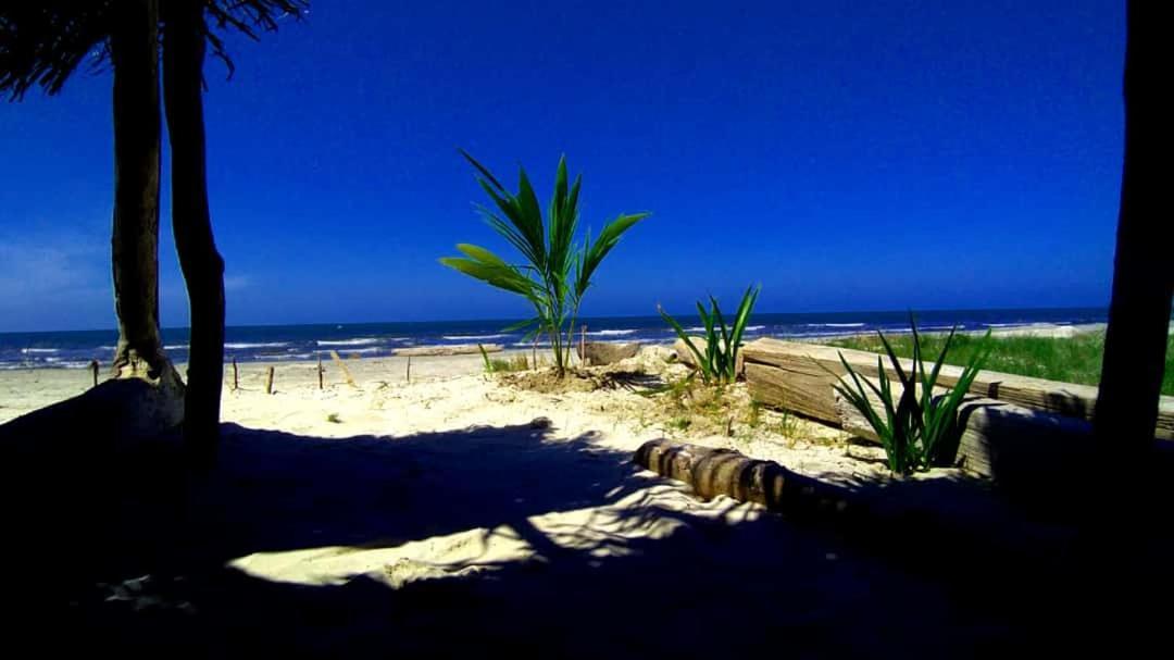 Urantia Beach Hostel & Camping San Onofre Dış mekan fotoğraf